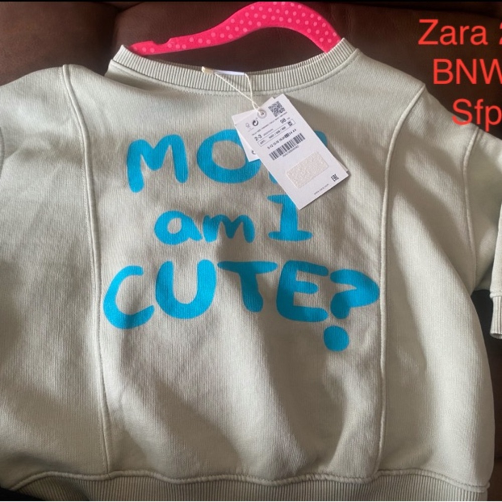 Zara sweatshirt 2-3 BNWT